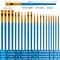 30 Pieces Paint Brushes for Acrylic Painting, Oil Watercolor Acrylic Paint Brush, Artist Paintbrushes for Body Face Rock Canvas, Kids Adult Drawing Arts Crafts Supplies, Blue